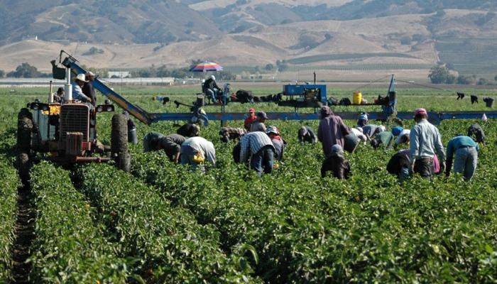 México y Canadá cierran 2016 con mayor intercambio agrícola