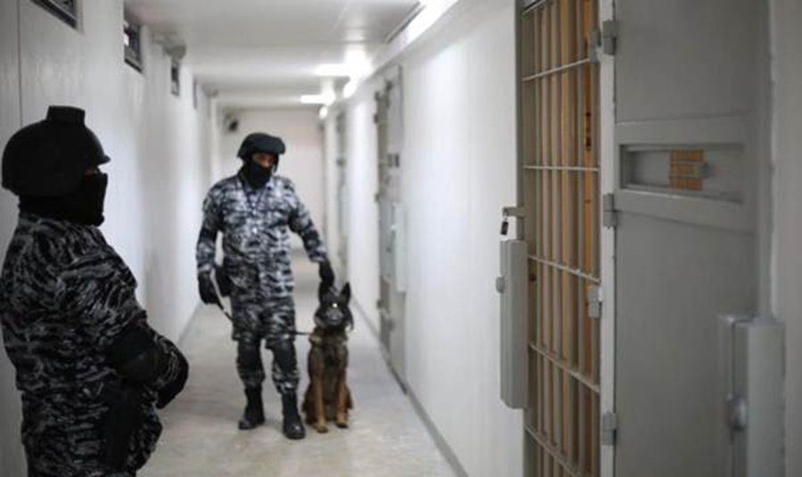 Un can prueba la comida que degusta El Chapo