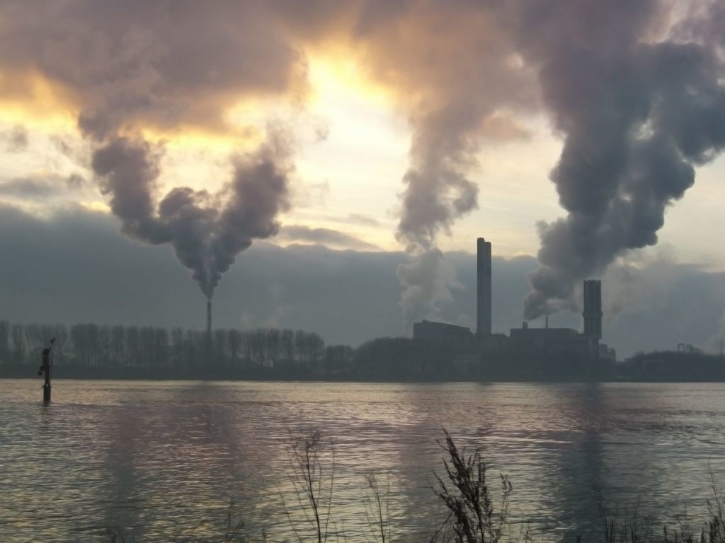 ¿Cómo disminuir la contaminación ambiental?