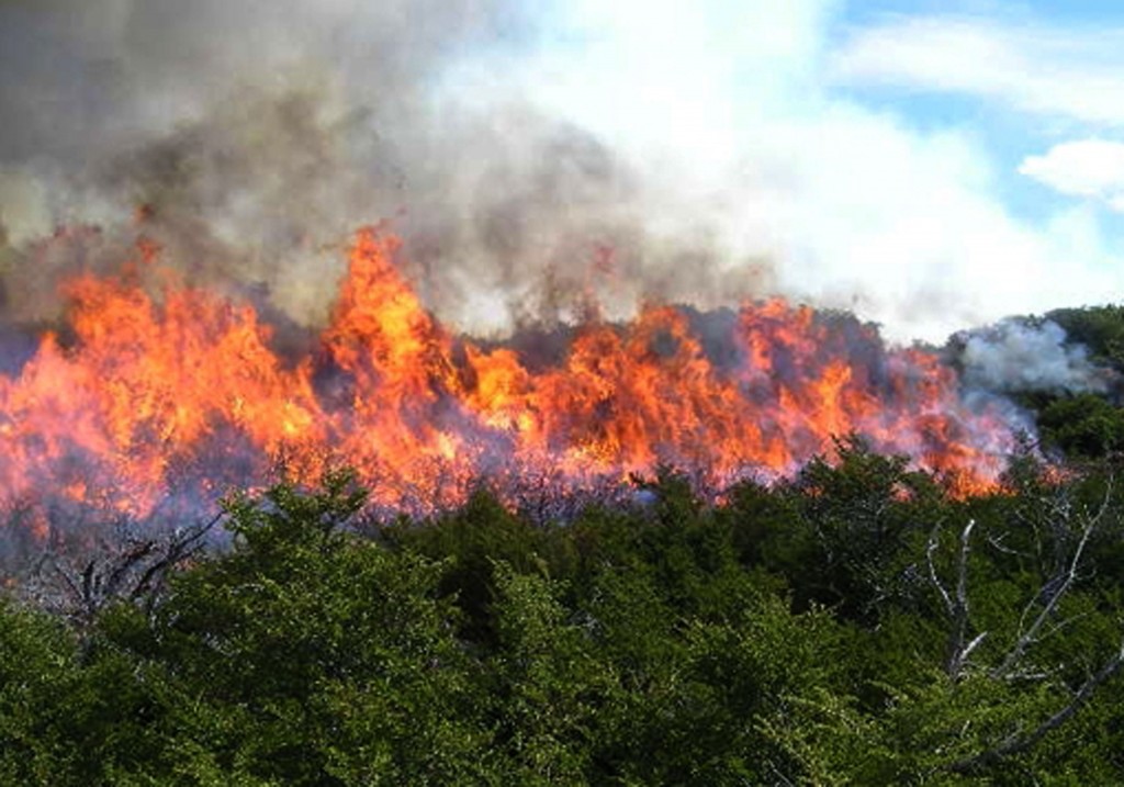 Gobierno chileno estima en unos 356 mdd gasto para daños por incendios