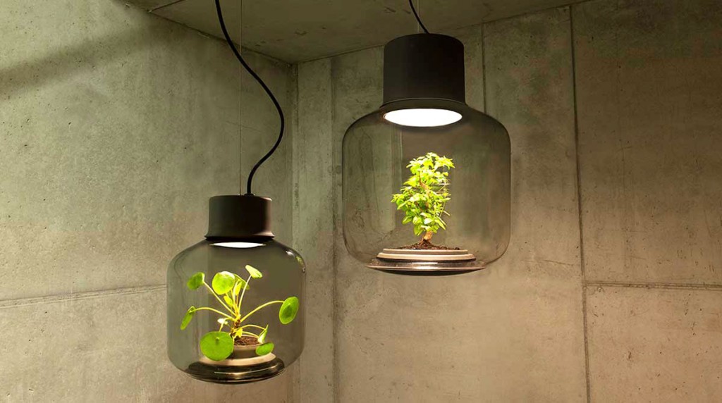 ¿Plantas dentro de lámparas? lo nuevo en ecosistemas sustentables