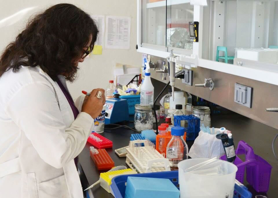 UNAM crea dispositivo para combatir bacterias en medio ambiente