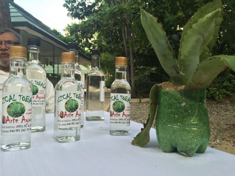 El auge del mezcal amenaza con la hegemonía del tequila