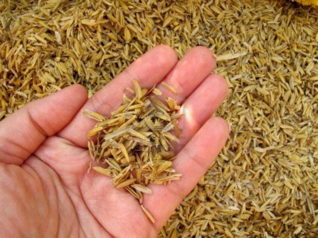 Ceniza de la cáscara de arroz sustituto de regeneración ósea