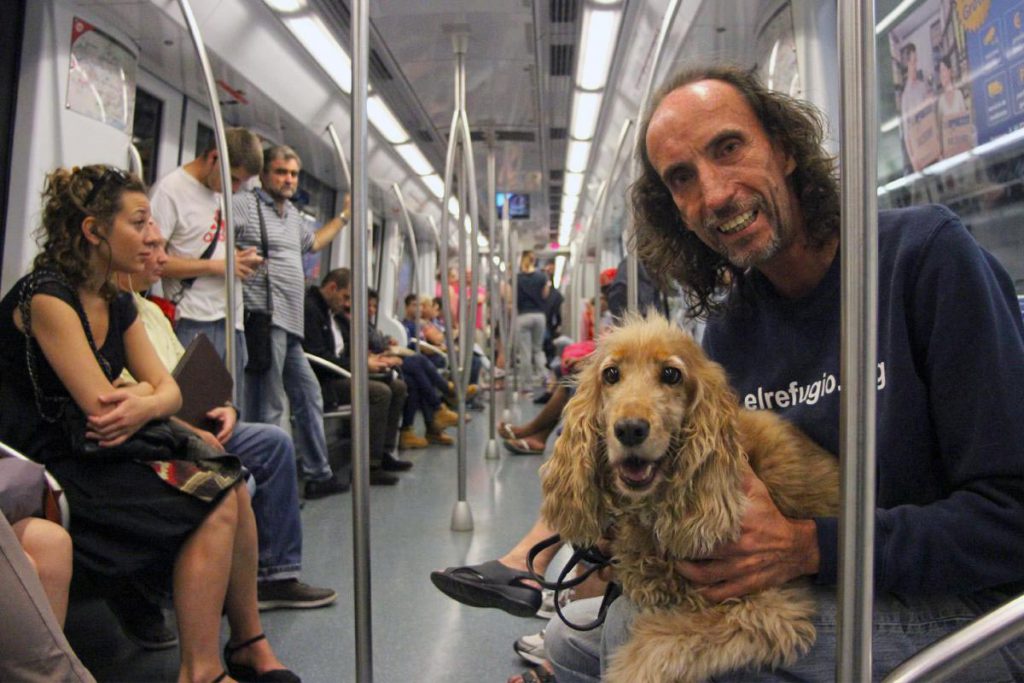 En Madrid, los perros entrarán al Metro