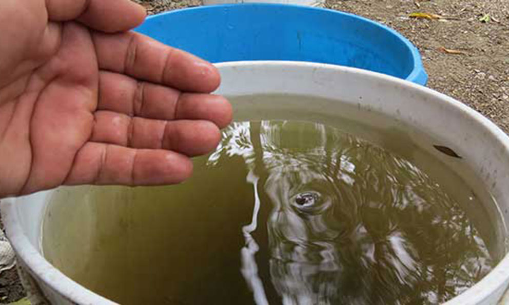 Estudian impacto de agua con arsénico en San Luis Potosí