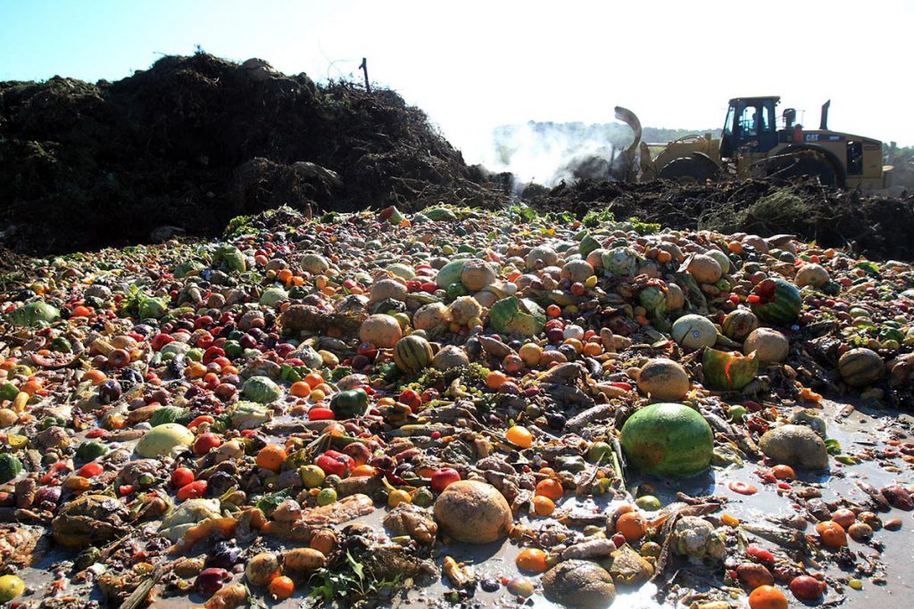 88 millones de toneladas de alimentos, se desperdician al año en México