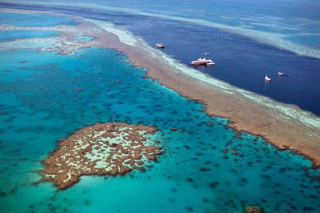 (video) En duda el futuro de la Gran Barrera de Coral