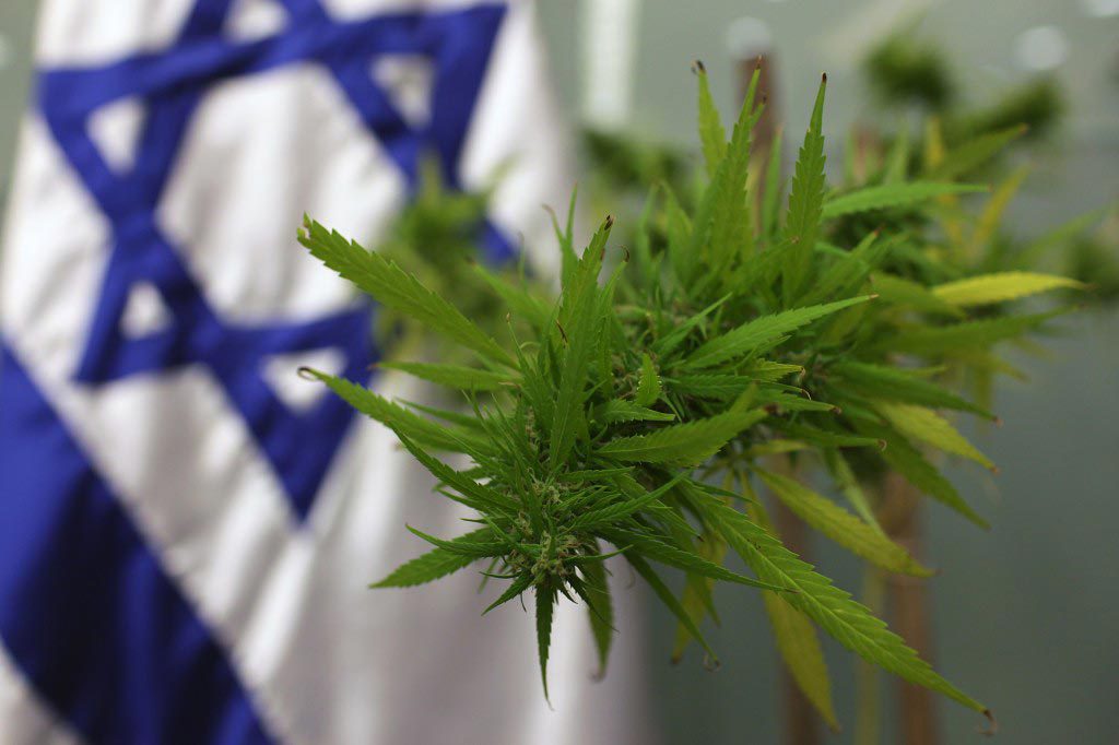 En Israel, se toman en serio a la cannabis medicinal