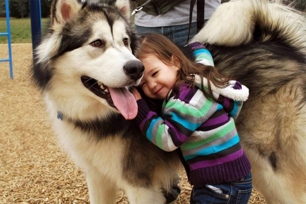 Los perros reconocen las emociones humanas