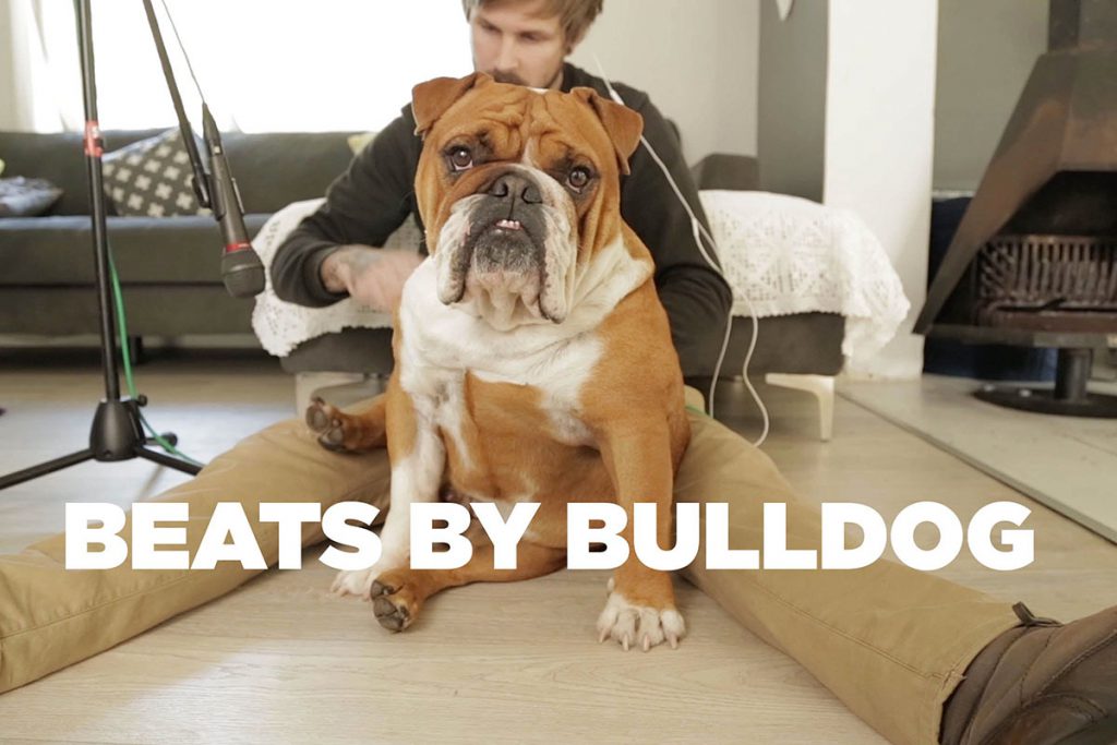 (video) «Beats by bulldog» el dueto de un perro y un joven