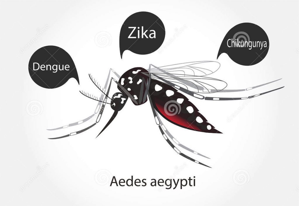 Convenio de la U de Yucatán y Michigan en su lucha contra el zika