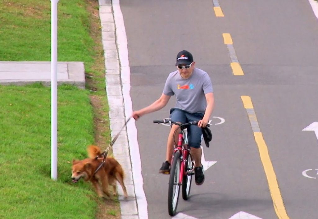 Mayor cuidado a las mascotas en los paseos ciclistas