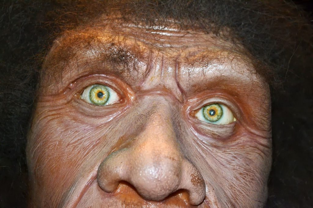 Recrean a un Neandertal de hace 150 mil años