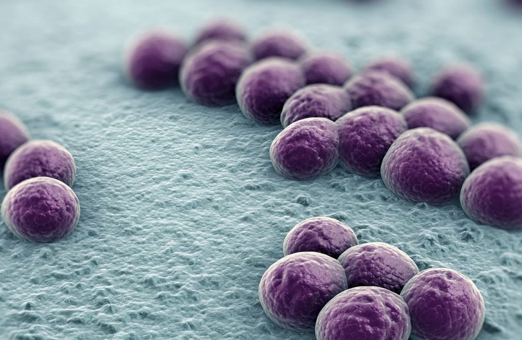 Antibióticos contra «bacterias de pesadilla»