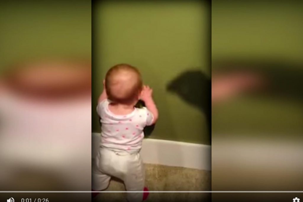 (video) El bebé y la sombra
