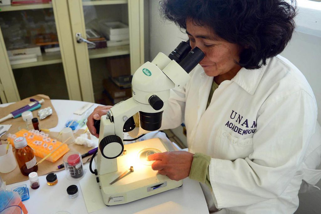 UNAM desarrolla bioprótesis tubular