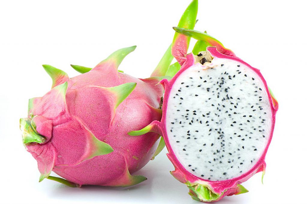 IPN: pitahaya contra cáncer de pulmón