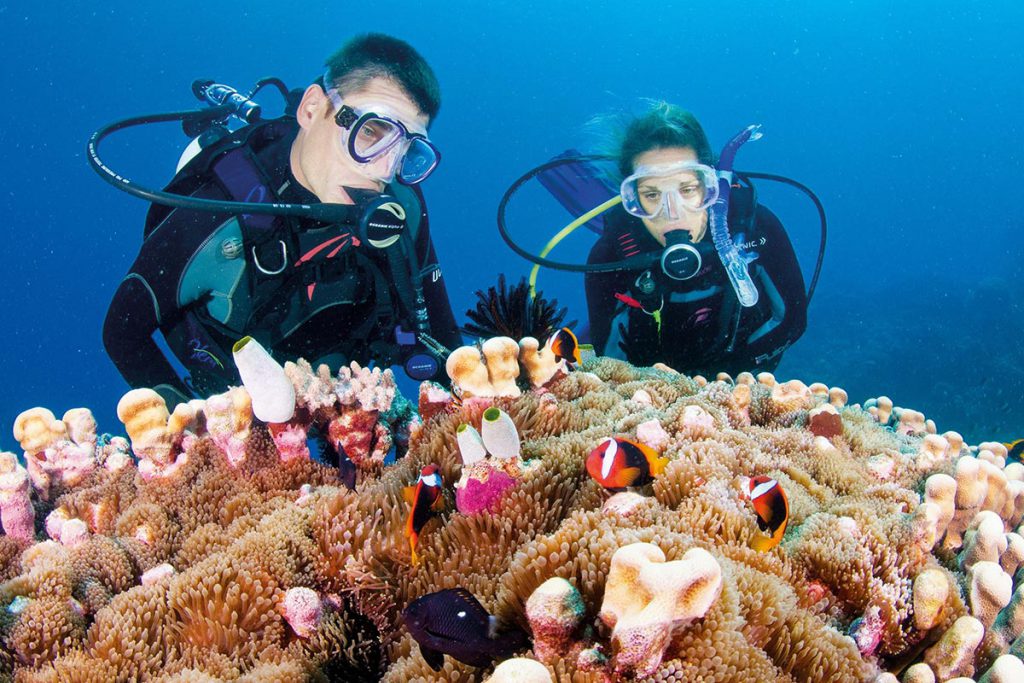 (video) Salvar Gran Barrera de Coral costaría 11 mdd