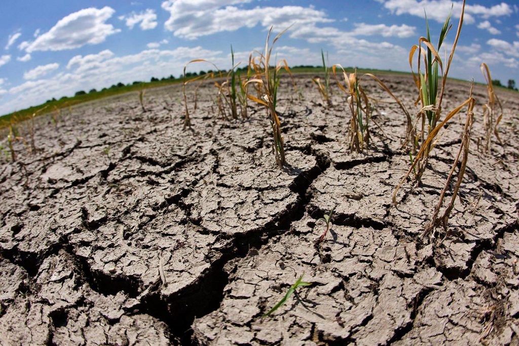 Nueva sequía amenaza seguridad alimentaria en Etiopía: FAO