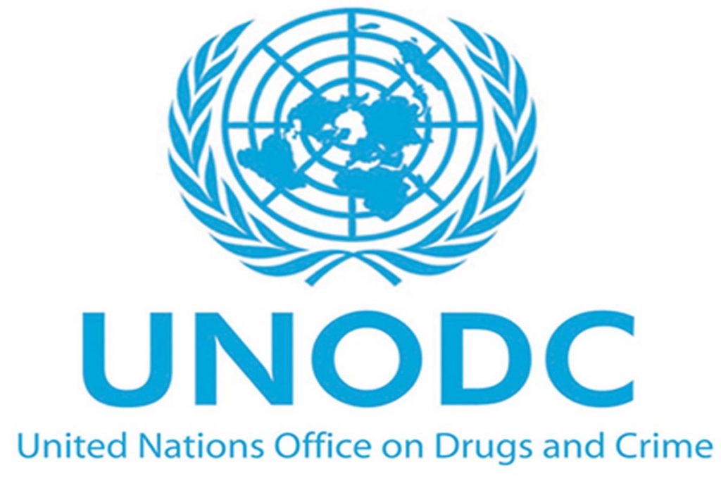 Drogas se cobran la vida de 207 mil personas