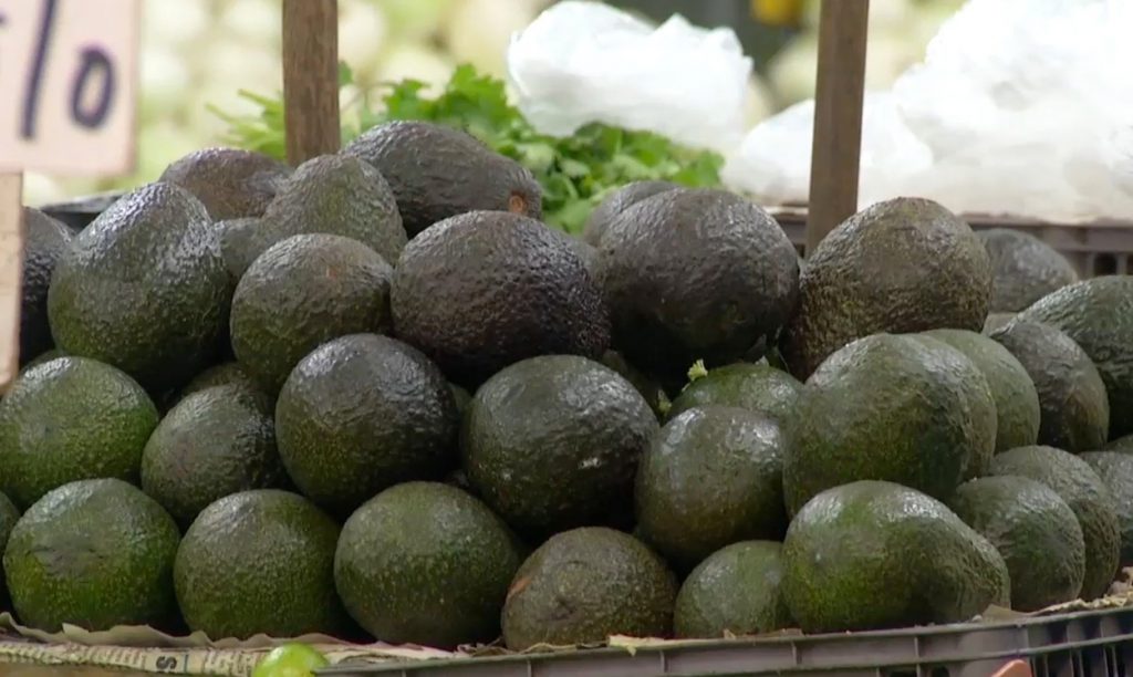 Crece la demanda por el aguacate