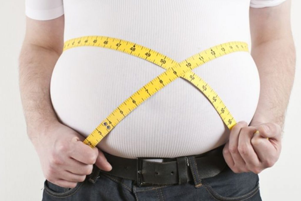 Localizan en el cerebro clave para combatir la obesidad