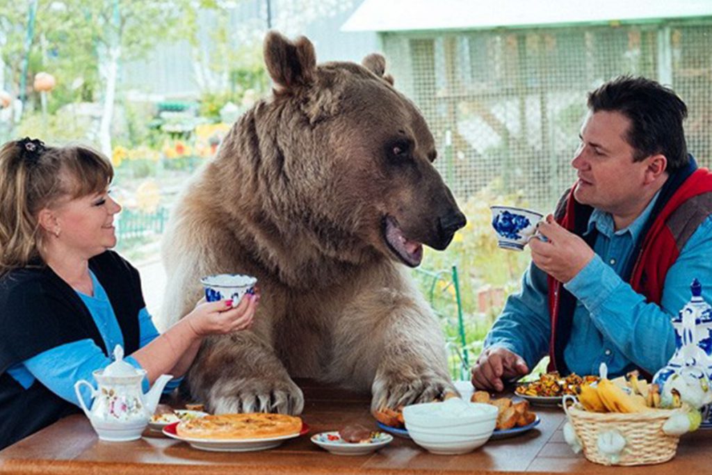 (video) Oso gigante se convierte en parte de una familia rusa