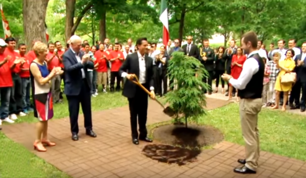 #EnVideo EPN intenta plantar un árbol en Canadá