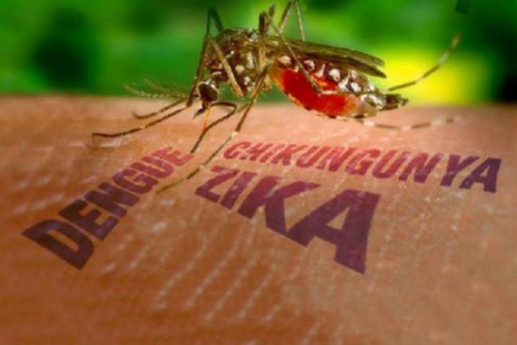 Campaña contra zika y chikungunya inicia en 17 municipios mexiquenses