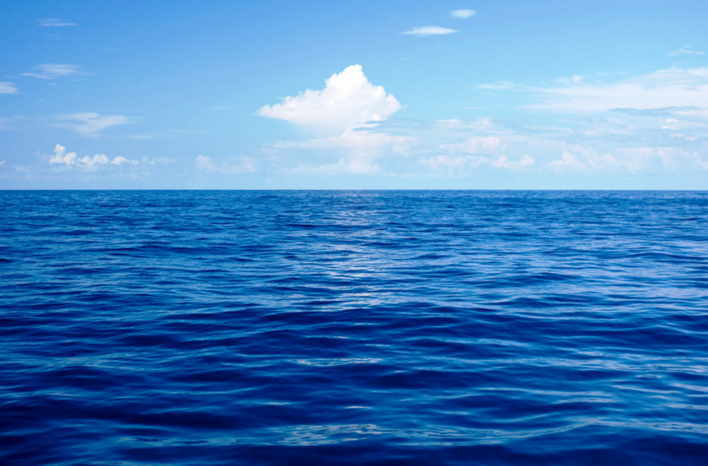 Acidificación de los océanos afectaría desove de los peces