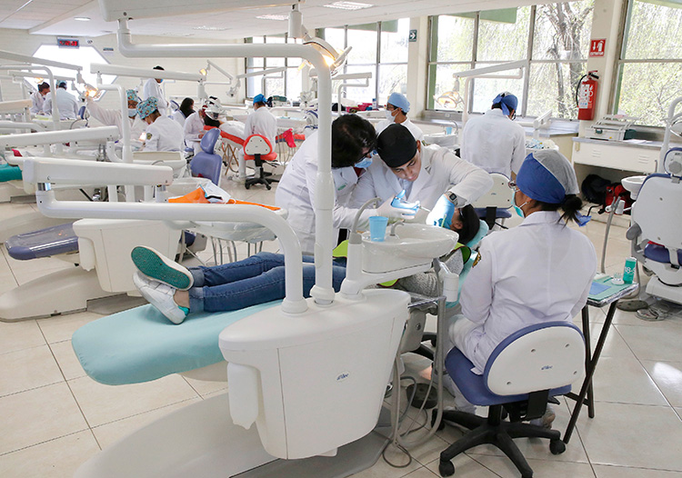 Facultad de odontología de UAEM cura con plantas medicinales