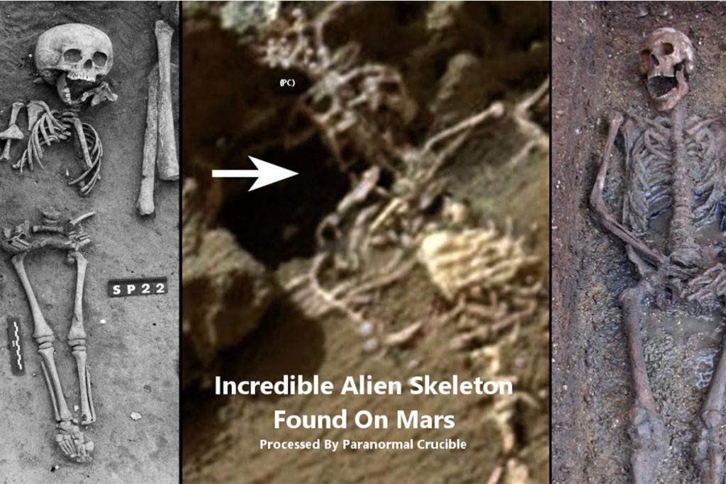 (video) ¿Esqueleto de rey extraterrestre?