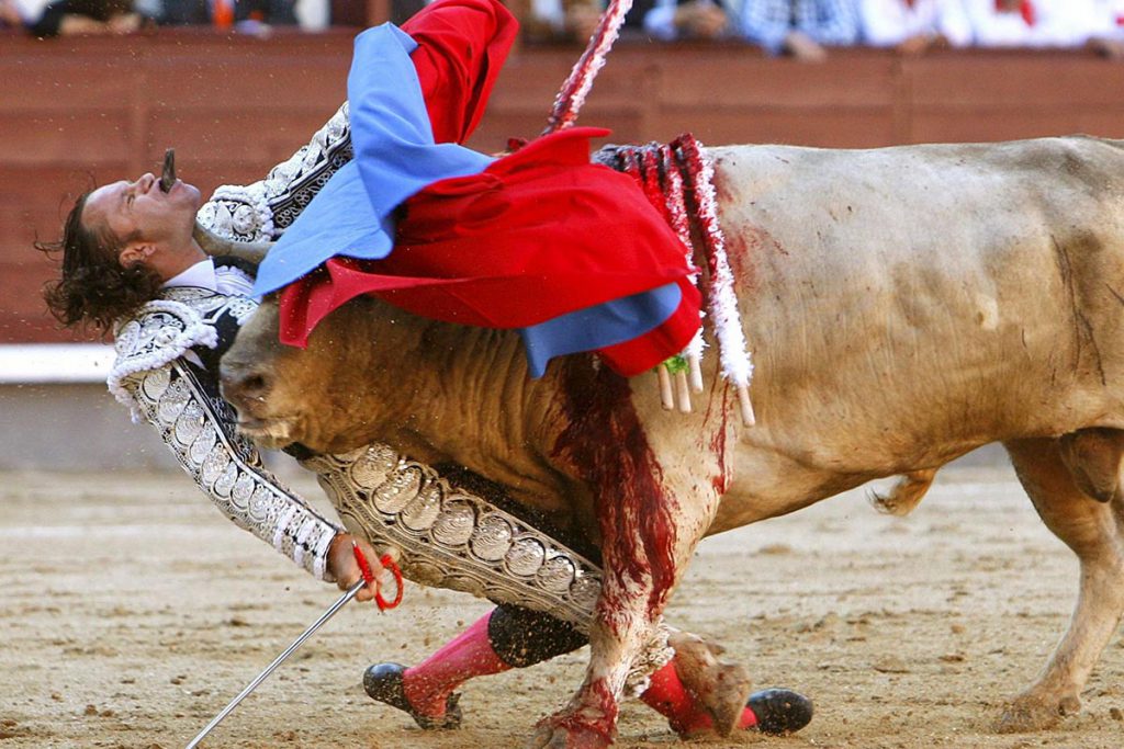 (video) Toreo, una fiesta en entredicho en España