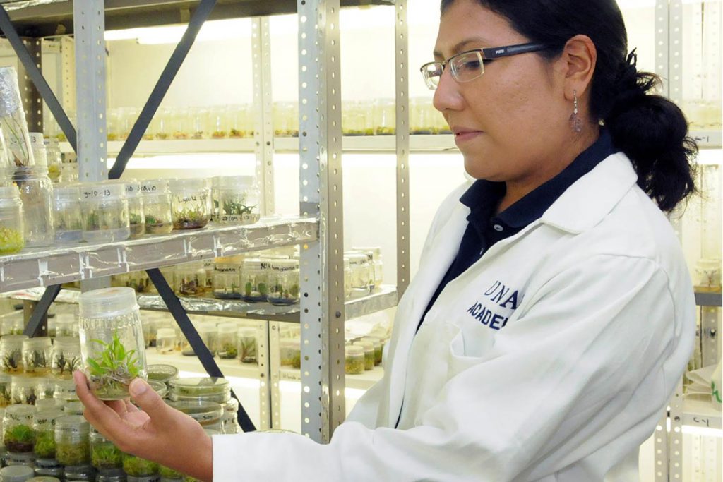 UNAM busca cultivos resistentes a plagas
