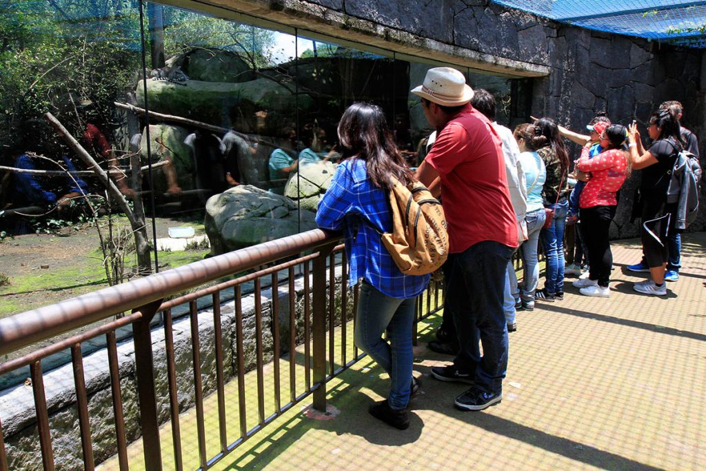 Zoológicos mexicanos, en crisis