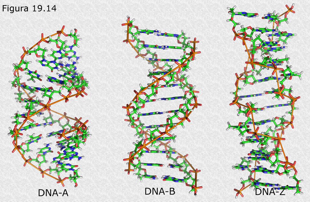 Cifrado de ADN para descubrir enfermedades