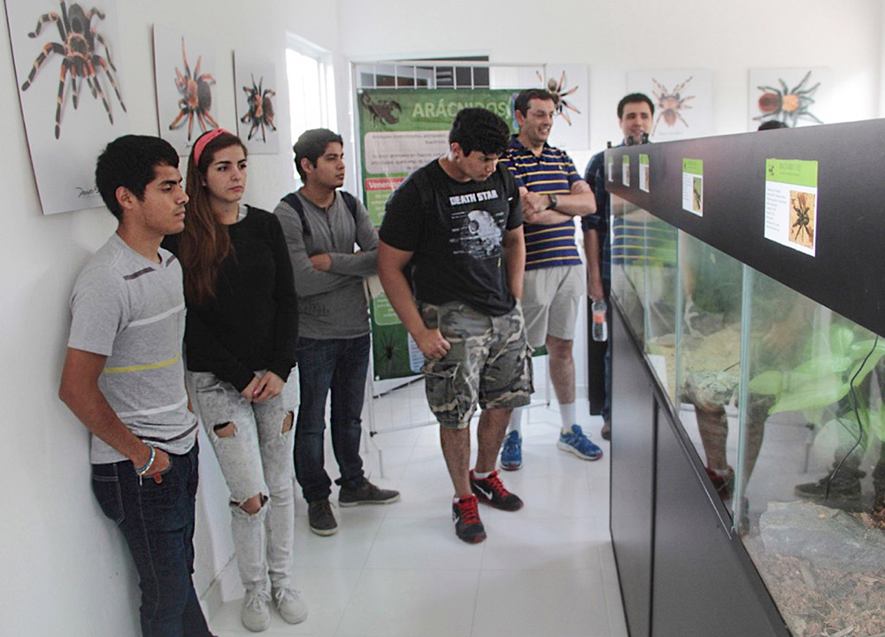 Universidad Autónoma de Querétaro abre aracnario