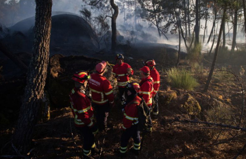 Desalojan a mil 500 personas por incendio en camping de Francia