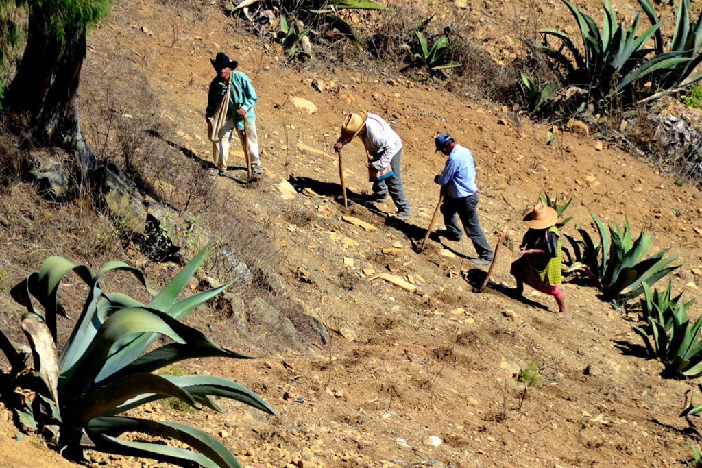 Imperioso atender a campesinos y productores