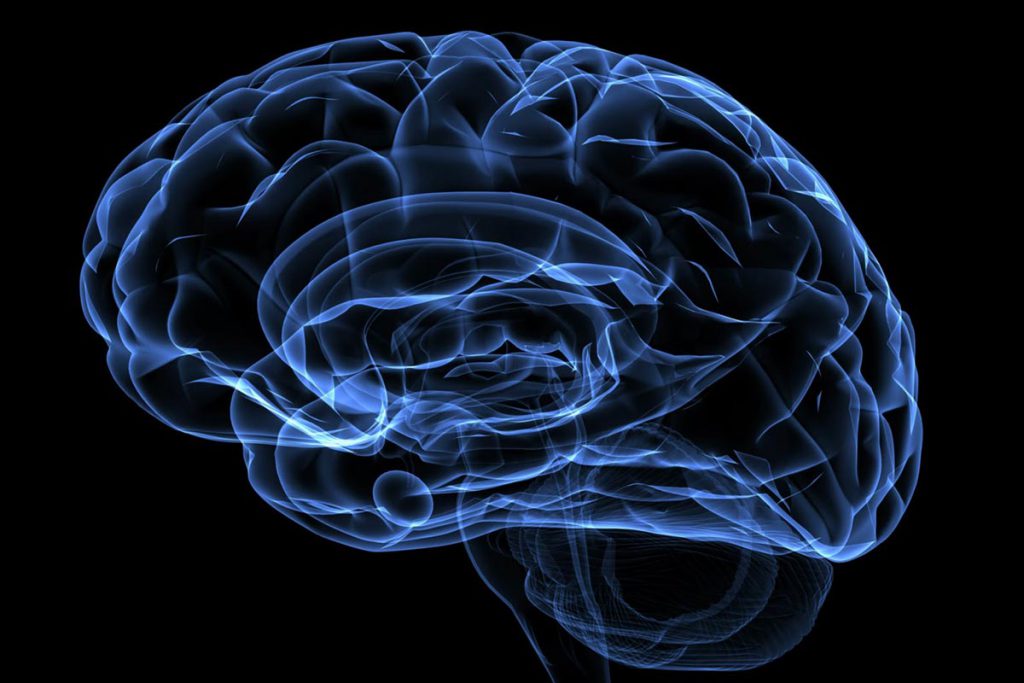 Es posible regenerar tejido cerebral