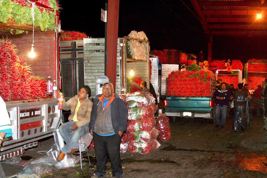 ¡Cuatro días de Romería del Rábano en la Central de Abasto!