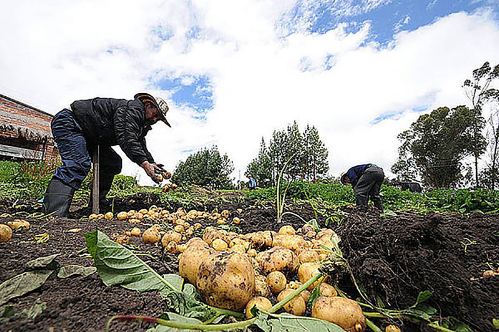 El campo, siempre estresado por los recortes