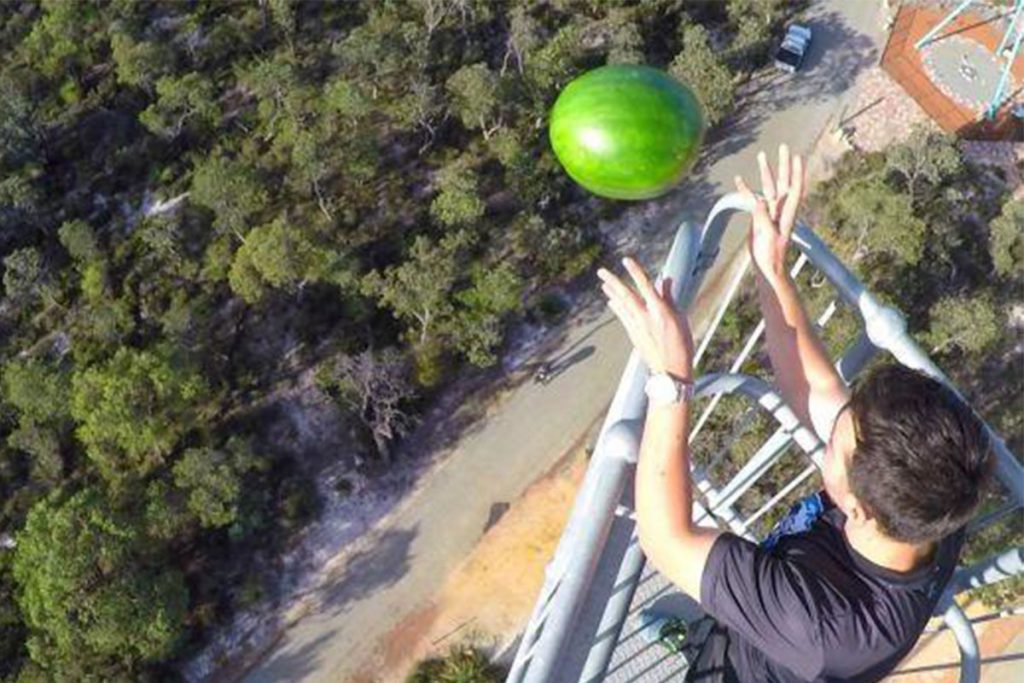 (video) Sandía sobrevive «intacta» a caída de 45 metros