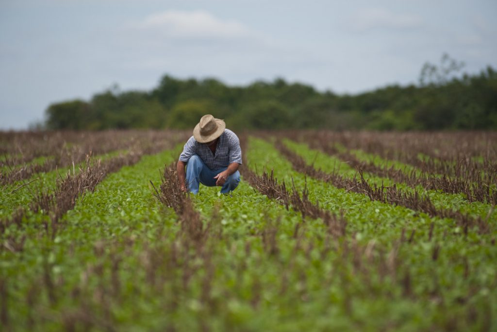 México y Japón crean sistema innovador para producir alimentos