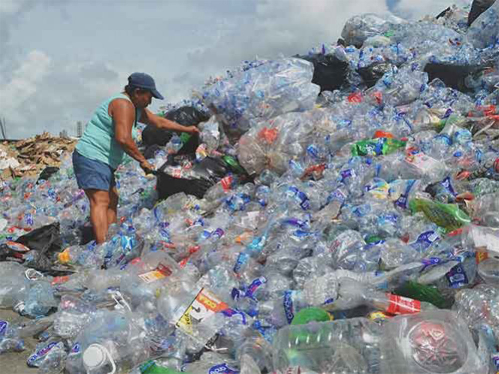 En Oaxaca desintegran residuos PET en 24 horas
