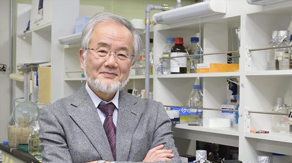 Premio Nobel de Medicina para Yoshinori Ohsumi