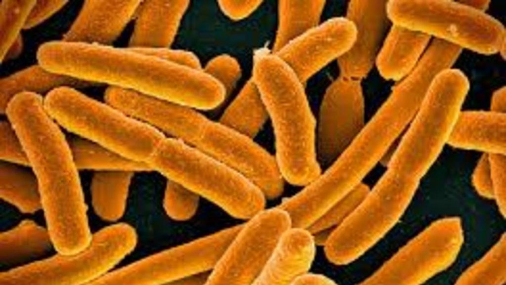 «Superbacterias» se convierte en amenaza global