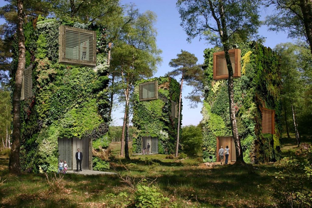 (video) OAS1S, ¿es un árbol o una casa?