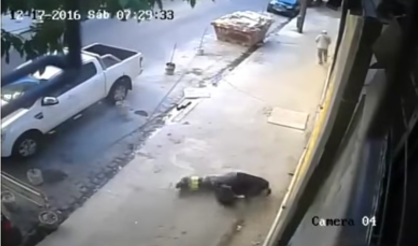 (Video) Se defiende de asaltante y le dispara